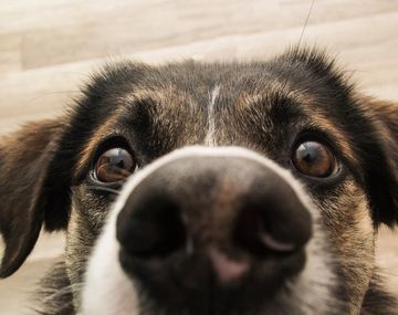 Insólito gasto del gobierno de Rodríguez Larreta