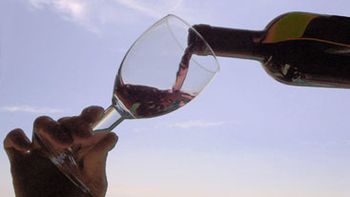 Vino Vino