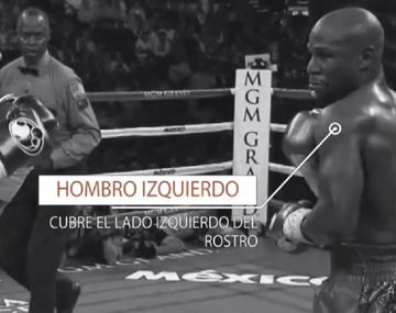 Para principiantes: claves para entender la pelea entre Mayweather y McGregor