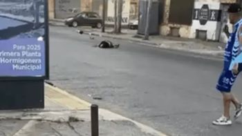 quien era el motociclista que murio decapitado al llevarse puesto un cable en una calle de quilmes quien era el motociclista que murio decapitado al llevarse puesto un cable en una calle de quilmes