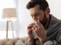 alerta sanitaria: crecen los casos de gripe h3n2 y hay preocupacion alerta sanitaria: crecen los casos de gripe h3n2 y hay preocupacion