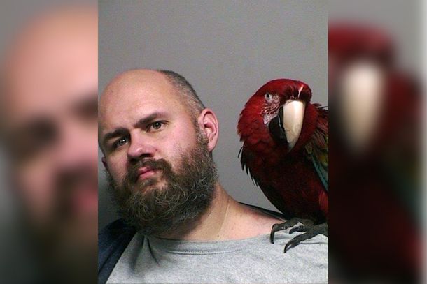 Buckner y su guacamayo