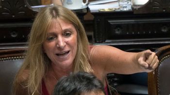 Diputada Florencia Carignano. Diputada Florencia Carignano.