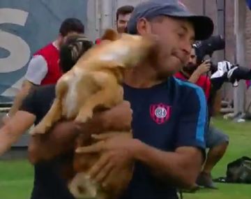 Un perro invadió la cancha de San Lorenzo