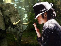 Michael