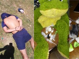 Dos detenidos por transportar drogas en un peluche