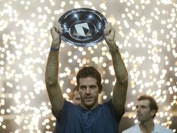 del potro se consagro campeon en el abierto de holanda del potro se consagro campeon en el abierto de holanda
