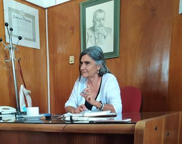 Diputada radical sugirió que Cristina perdió poder porque le sacaron el útero