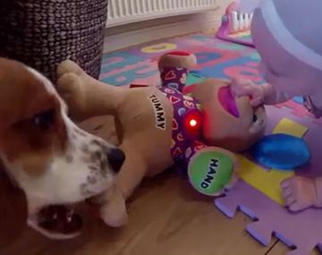 La convivencia de una beba y un perro
