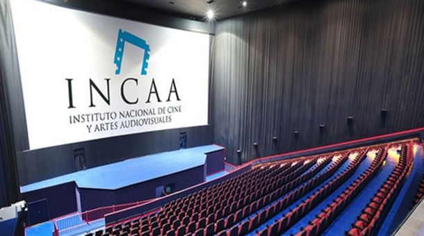 Designaron gerente en el Incaa a Nicolás Yocca, un ex ejecutivo del grupo Clarín
