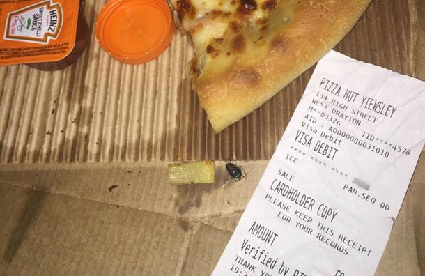 Una pareja encontró una cucaracha que se retorcía en su pizza: mirá las fotos