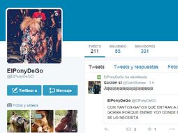 El pony del boliche ya tiene cuenta de Twitter