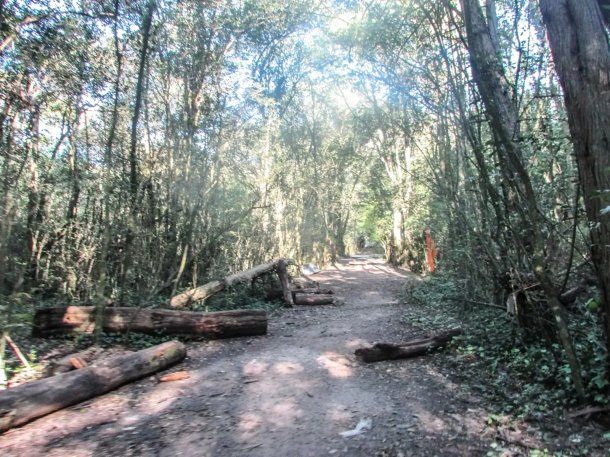Parque Pereyra Iraola: le dispararon a una ciclista para robarle la bicicleta
