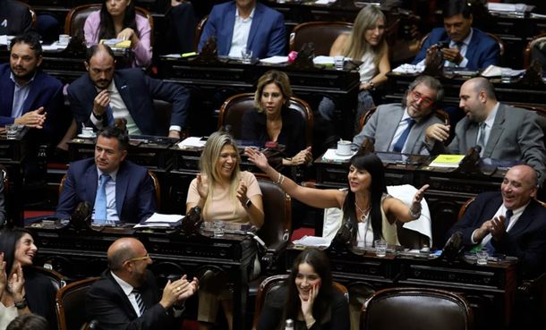 (Foto: NA/Damián Dopacio)