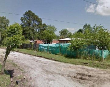 Un pájaro me dijo que los mate a todos