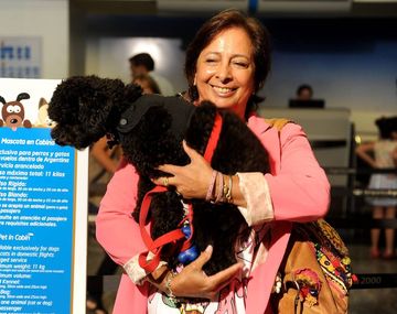 Conocé la primera mascota que viajó junto a su dueña