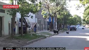 Un mujer atacó a tres de sus hijos y uno murió Un mujer atacó a tres de sus hijos y uno murió