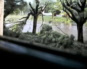 Brutal temporal de lluvias en Buenos Aires deja más de 5 millones de hectáreas afectadas