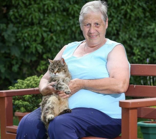 ¿Es la gata más vieja del mundo? Pinky tiene 28 años y vive en Inglaterra