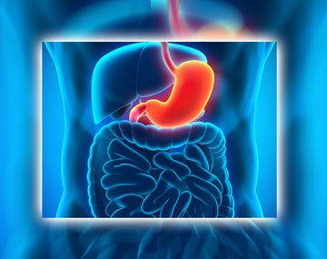 Le sacaron del estómago una pelota de pelos