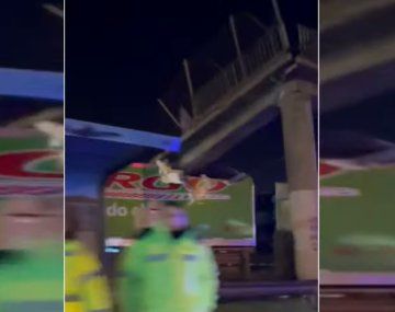 Un camión tiró abajo un puente en Escobar