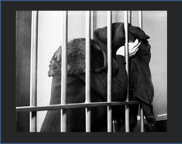 Horror en Córdoba: Mujer mató a su madre y escondió su cuerpo en la heladera