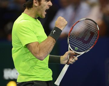 Del Potro derrotó a Anderson y pasó a la semifinal de Basilea