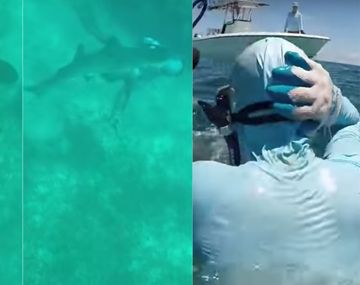 Un tiburón le mordió la cabeza y sobrevivió