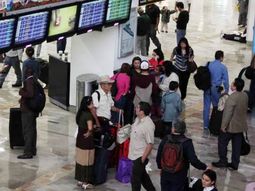 Una vaca paralizó las actividades del aeropuerto de Punta del Este