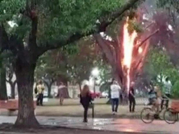 Video: un árbol se prendió fuego en Lincoln tras la caída de un rayo