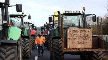 francia incorporara la soberania alimentaria a sus normas y se diluye el acuerdo mercosur-ue francia incorporara la soberania alimentaria a sus normas y se diluye el acuerdo mercosur-ue