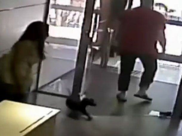 Balvanera: pateó a su perro y ahora amenaza a sus vecinos que lo denunciaron