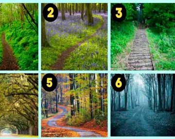 El camino que elijas revelará cómo influye tu personalidad en tus relaciones