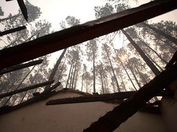 cordoba: las imagenes de lo que dejo el incendio forestal cordoba: las imagenes de lo que dejo el incendio forestal