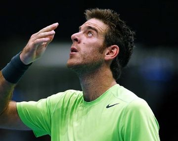 Del Potro confirmó que no volverá al equipo para jugar la semifinal