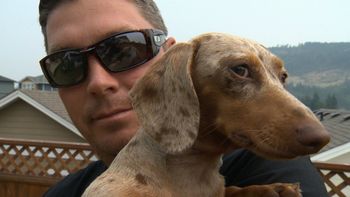 se peleo con un puma para salvar a su perro se peleo con un puma para salvar a su perro