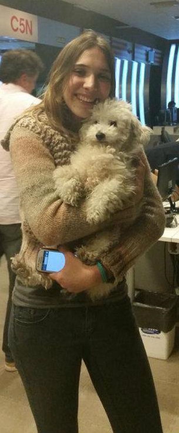 C5N encontró un cachorro y pudo localizar a su dueña