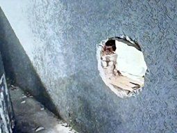 se fugaron 17 presos de una comisaria de liniers: escaparon por un boquete se fugaron 17 presos de una comisaria de liniers: escaparon por un boquete