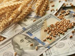 Los sectores exportadores siguen preocupados por el atraso cambiario en Uruguay. Los sectores exportadores siguen preocupados por el atraso cambiario en Uruguay.