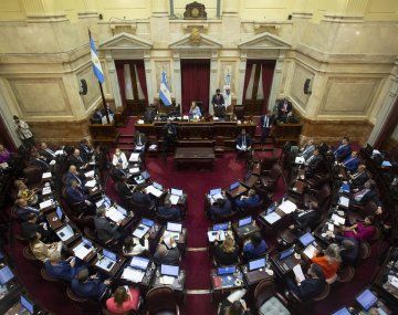 El Senado debate la reforma del Consejo de la Magistratura