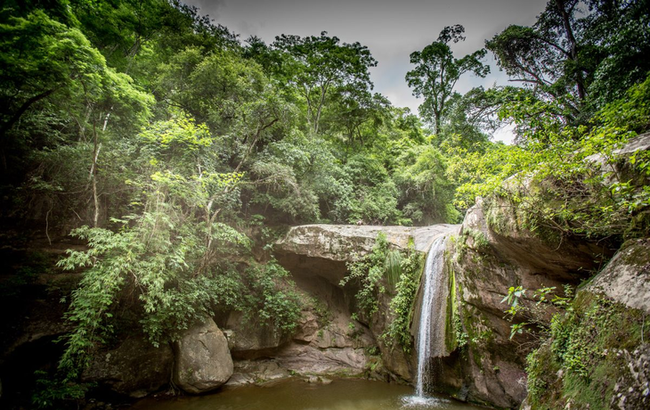 El destino en medio de la selva para ver animales, caminar y conectar con la naturaleza