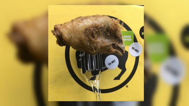 Un jugador de fútbol encontró una cabeza de pollo entre sus alitas y estalló