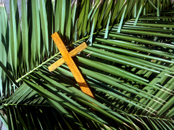 Comparte frases bonitas este Domingo de Ramos. Comparte frases bonitas este Domingo de Ramos.