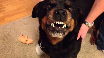 Foto ilustrativa Foto ilustrativa