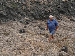 El MGAP estima pérdidas por 1.800 millones de dólares a causa de la sequía en Uruguay. El MGAP estima pérdidas por 1.800 millones de dólares a causa de la sequía en Uruguay.