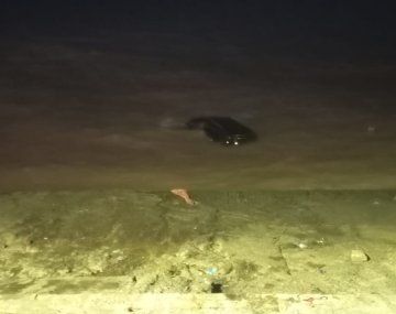 Una mujer arrancó una camioneta y el vehículo terminó dentro del Río de la Plata