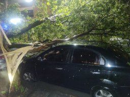 famosos quedaron atrapados por el temporal en mar del plata