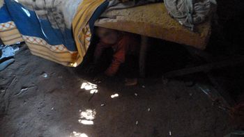 afip detecto trabajo infantil y 97 por ciento de empleo informal afip detecto trabajo infantil y 97 por ciento de empleo informal