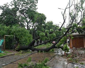 Impresionante temporal en el AMBA deja destrozos