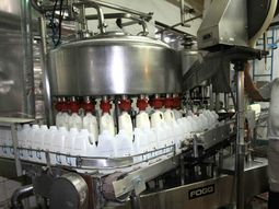 La industria láctea se posiciona como uno de los principales motores exportador de Uruguay, con colocaciones por 925,3 millones de dólares en 2022. La industria láctea se posiciona como uno de los principales motores exportador de Uruguay, con colocaciones por 925,3 millones de dólares en 2022.